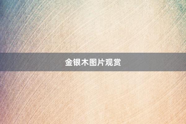金银木图片观赏